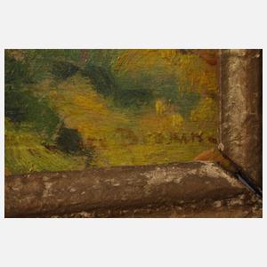 Prof. Maurice Braun, Sommerlandschaft