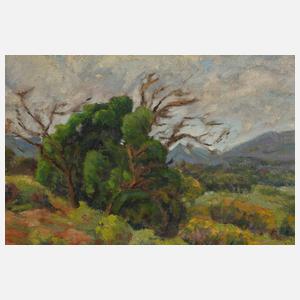 Prof. Maurice Braun, Sommerlandschaft