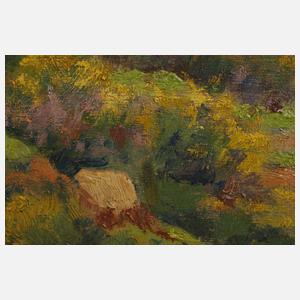 Prof. Maurice Braun, Sommerlandschaft