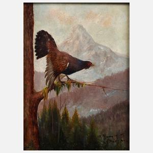 Max Hänger jun., Auerhahn