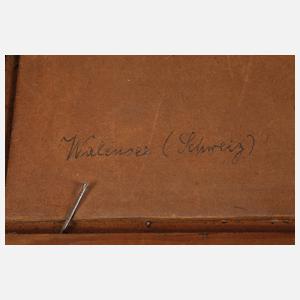 Paul Heitinger, "Walensee"