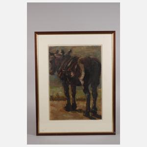 Georg Hilgers, Pferd