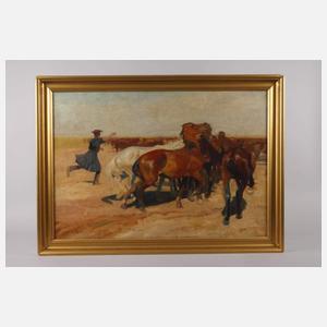 Béla Juszkó, Pusztapferde