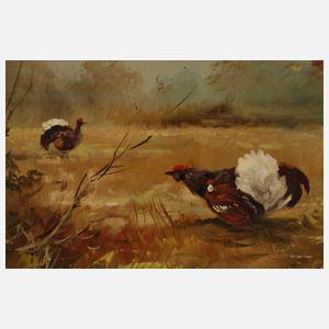 Kagerer, Balzende Birkhähne