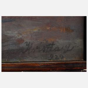 Kriszta L., Interieur