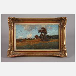 Hermanus Adrianus van Oosterzee, "Nachmittagssonne"