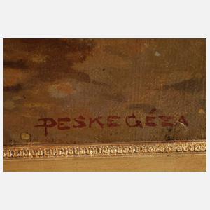 Géza Peske, Der Junge und die Küken