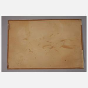 Prof. Christian Rohlfs, Gelbe Rosen