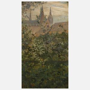 Jan Šafařík, Blick auf den Veitsdom in Prag