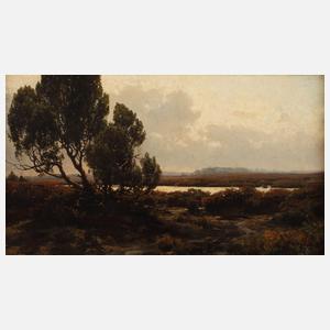 Carl Cowen Schirm, Heidelandschaft