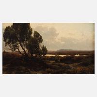 Carl Cowen Schirm, Heidelandschaft111