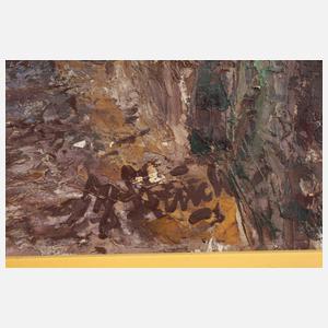 Josef Struck, Altstadtansicht