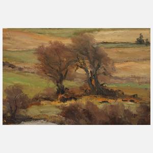 Frank Vervoort, Frühlingslandschaft