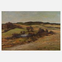 Frank Vervoort, Frühlingslandschaft111