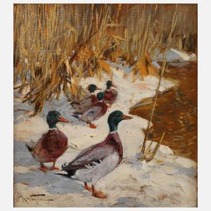 Karl Wagner, Stockenten im Winter
