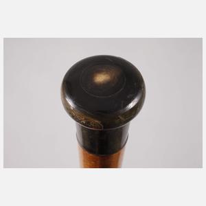 Spazierstock Horn