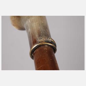 Spazierstock Horn