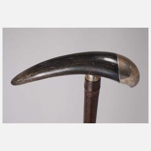 Spazierstock Horn