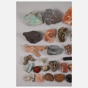 Sammlung Mineralien und Fossilien