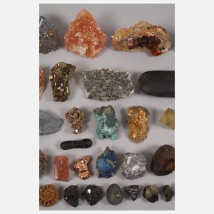 Sammlung Mineralien und Fossilien