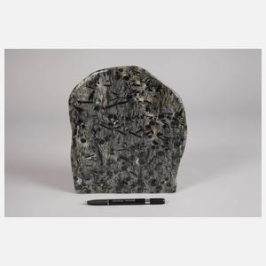 Granat und Hornblende in Glimmerschiefer