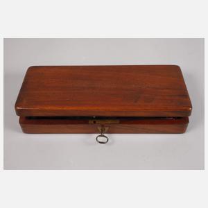 Drei Teile Schildpatt im Etui