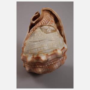 Konvolut Muschelschnitzereien