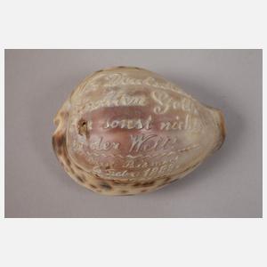 Konvolut Muschelschnitzereien