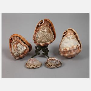 Konvolut Muschelschnitzereien