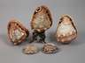 Konvolut Muschelschnitzereien