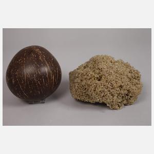 Konvolut Naturmaterialien