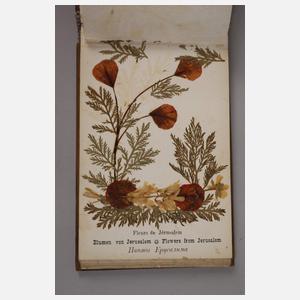 Konvolut Naturmaterialien