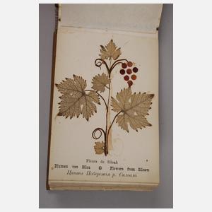 Konvolut Naturmaterialien