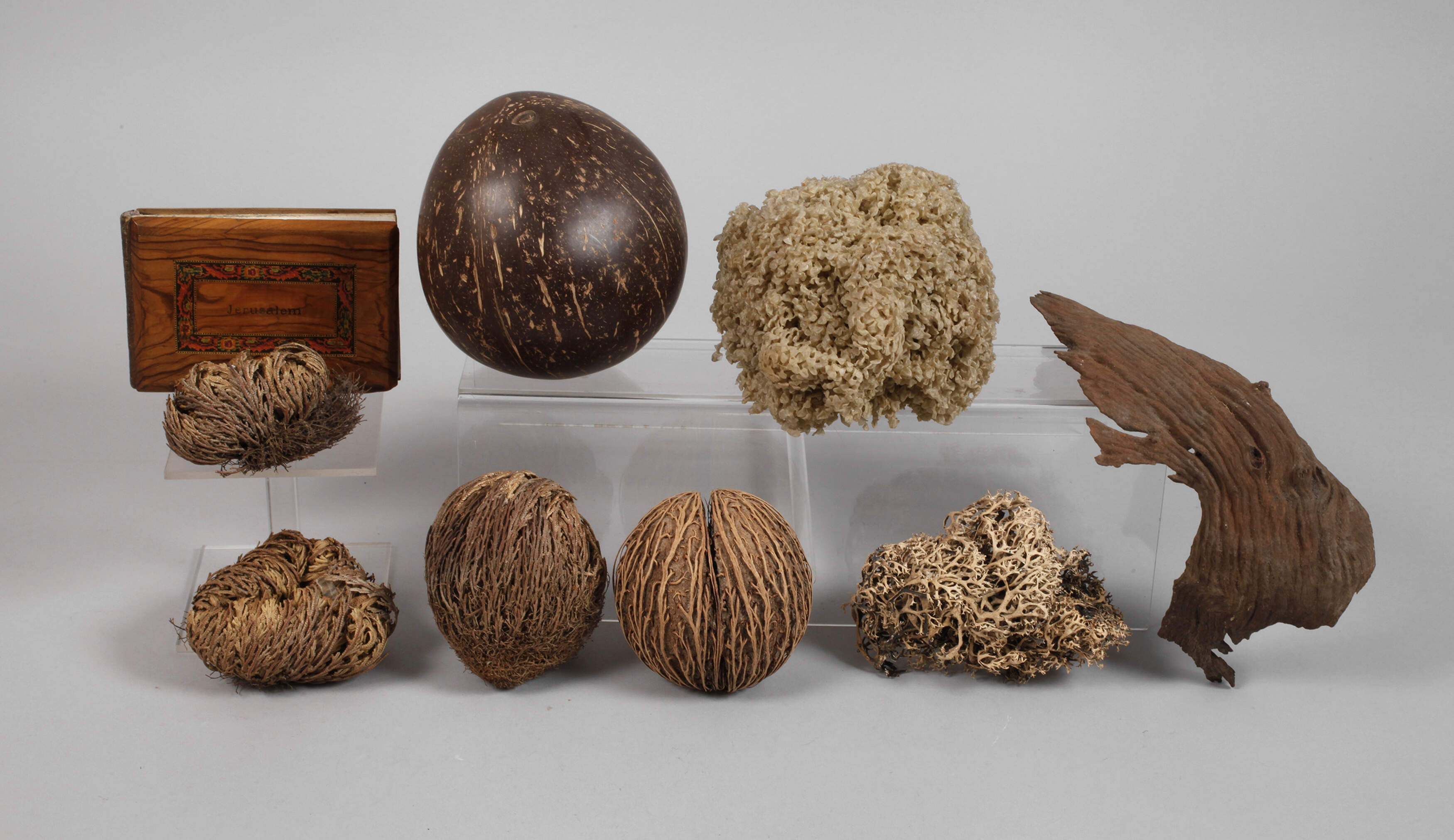 Konvolut Naturmaterialien