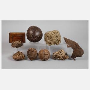 Konvolut Naturmaterialien