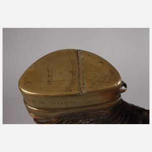 Horn mit Messingmontur