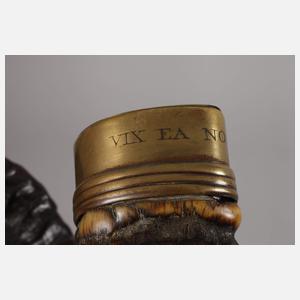 Horn mit Messingmontur