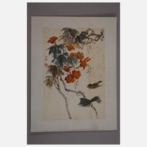 Konvolut Naturstudien