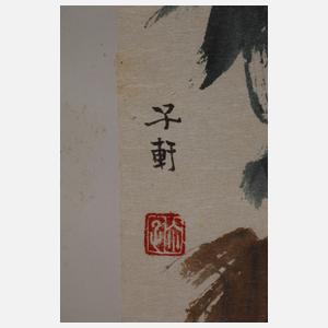 Konvolut Naturstudien