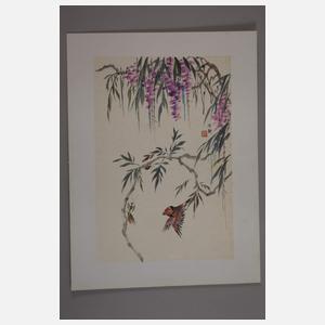 Konvolut Naturstudien