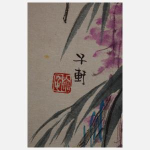 Konvolut Naturstudien