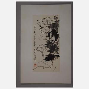 Konvolut Naturstudien