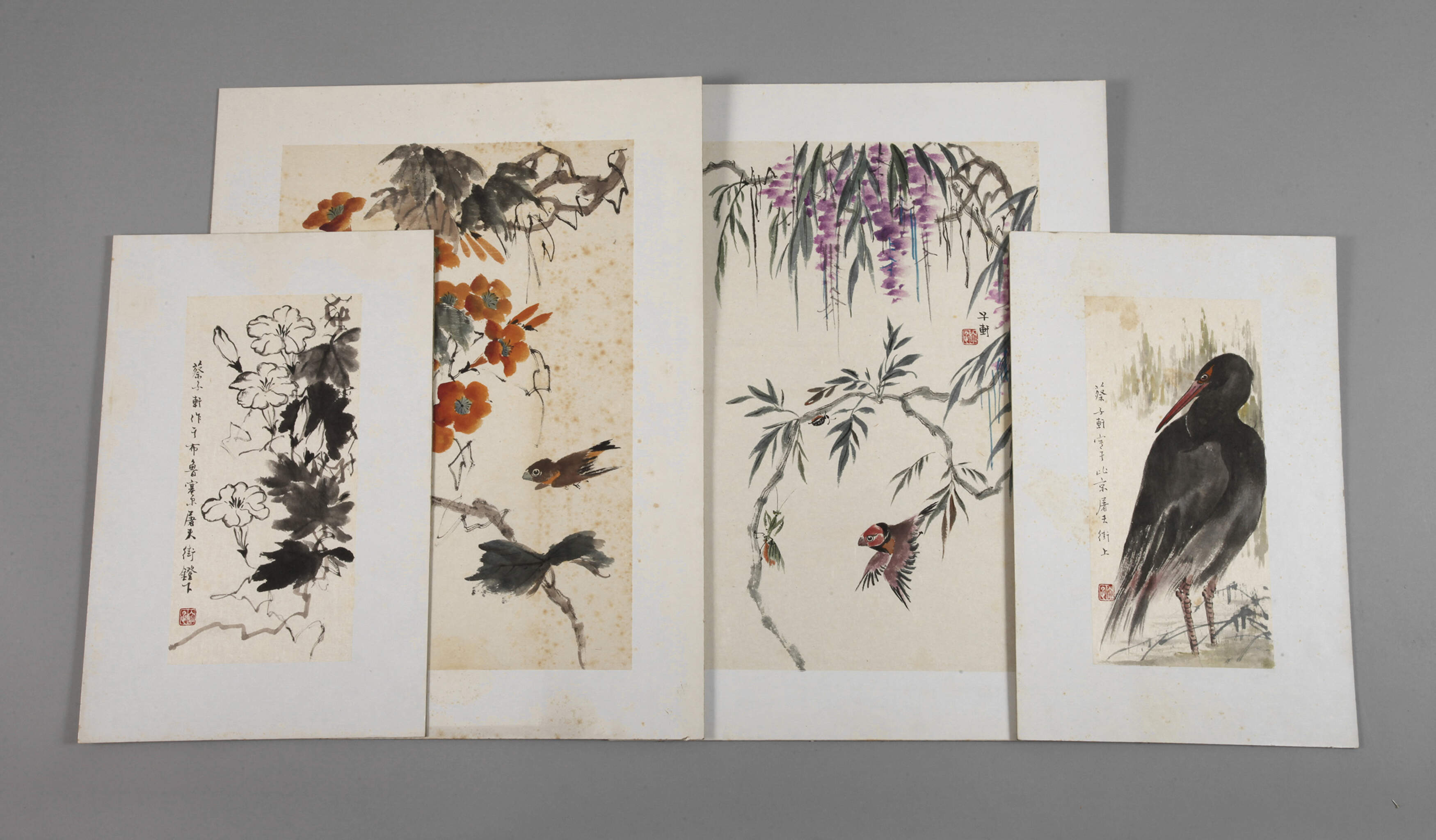 Konvolut Naturstudien