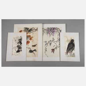 Konvolut Naturstudien