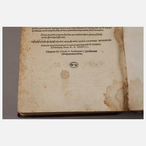 Jüdische Altertümer 1534