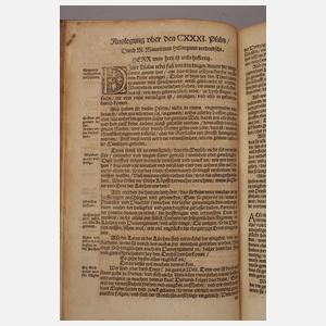 Luther Bibel 1556