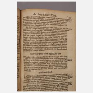 Luther Bibel 1556