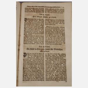 Jäger-Praktika 1754