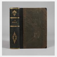 Der Rhein und die Rheinlande111