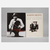 Zwei Bände Joseph Beuys111
